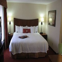 Hotel Hampton Inn Hadley-amherst Area