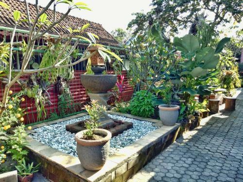 Geriya House