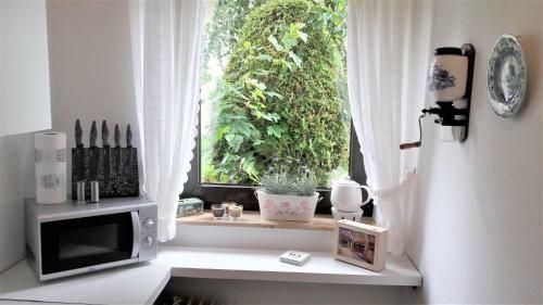Apartamento Ferienwohnung Pistenblick