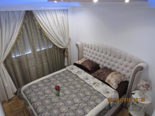 Apartman Tea 2