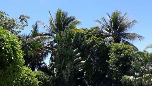 Residencial Coroa Vermelha