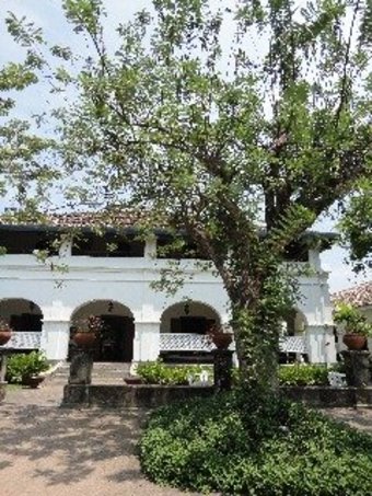 Hotel Boutique Tamarind Hill