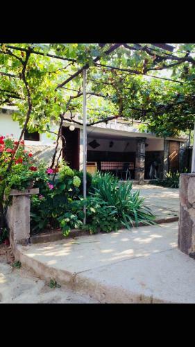 Hostal Guest House Mariela