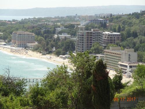 Aneta's Seaside Apartment