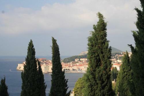 Apartments With Wifi Dubrovnik - 8600