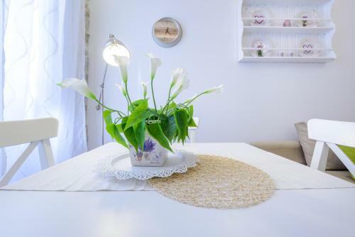 Apartamentos Purple Dream
