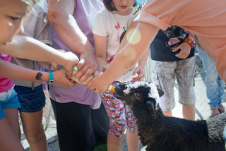 Hotel Vilar Rural De Cardona