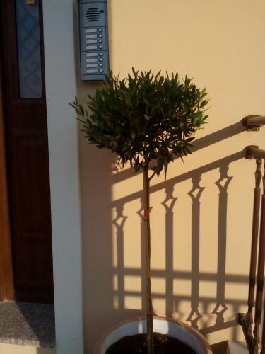 Kavadias Apartments