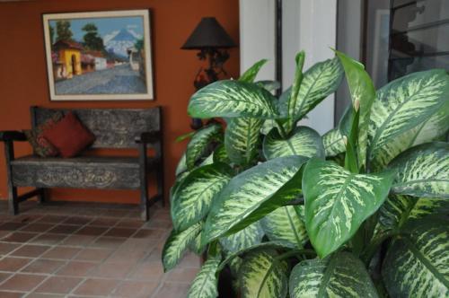 Apart-hotel Posada San Judas