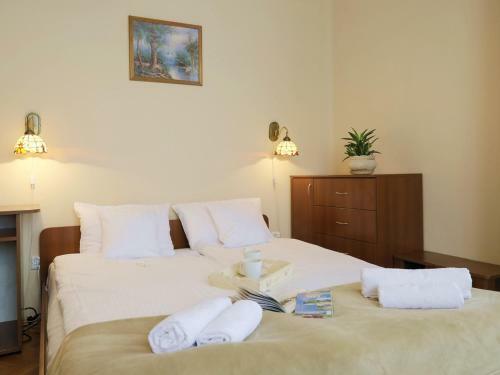 Bed & Breakfast Pensjonat Janosik