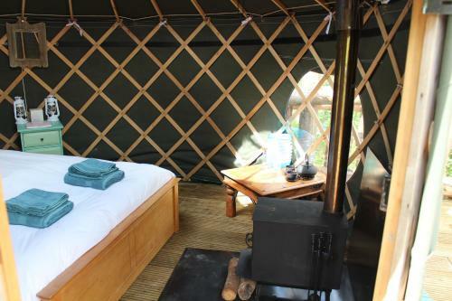 Llethrau Forest & Nature Retreats