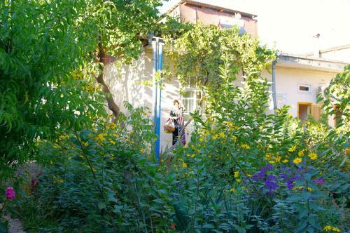 Hostal Antica B & B Samarkand