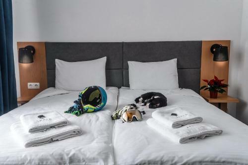 Hotel Grofa