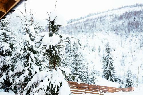 Hostal Konopka Guest House