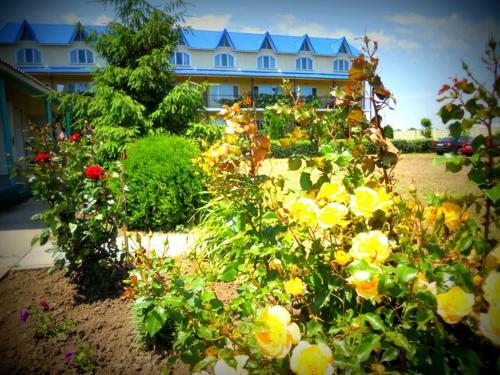 Hotel Irina