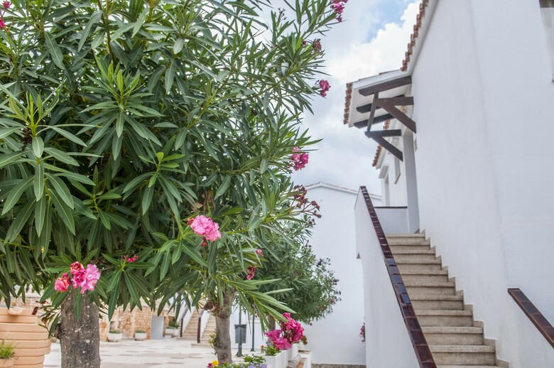 Apartamentos Los Naranjos