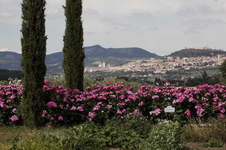 Hotel Resort & Spa San Crispino
