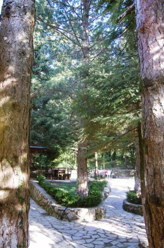Hostal Guesthouse Alberti Llogara