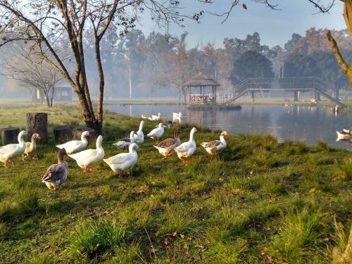 Apartamento La Justina Club de Campo