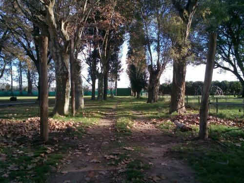 Apartamento La Justina Club de Campo