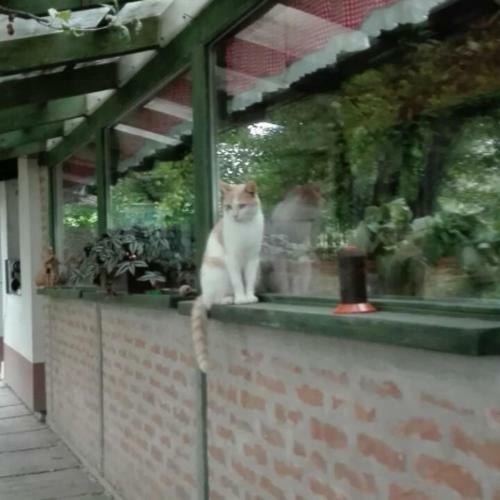 Agroturismo Farm Stay Lackovic