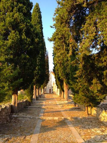Bed & Breakfast Villa Veli Nova