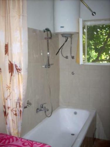 Apartman Rosa