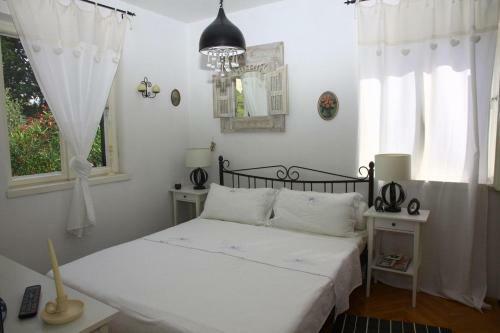 Seaside Holiday House Postira (Brac) - 13001