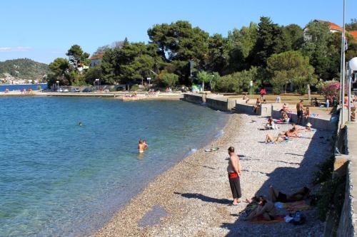 Apartments By The Sea Preko (Ugljan) - 14244