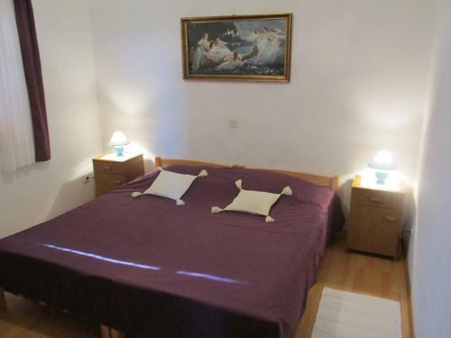 Apartment Branka