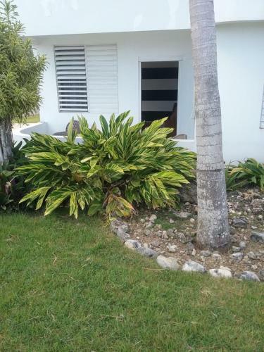 Apartamento Ocean Dreams