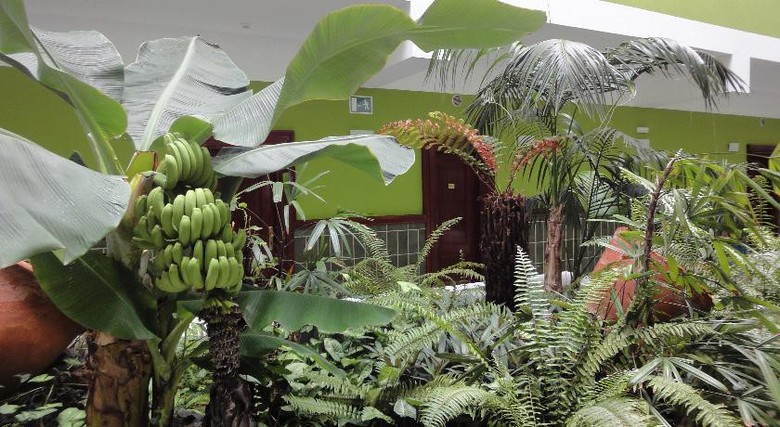 Hotel Balneario Pozo De La Salud