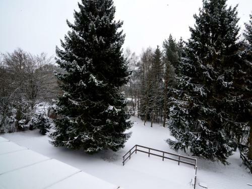 Cozy Holiday Home With Sauna In Stavelot