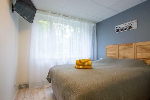 Hostal Tiigi Six Guesthouse