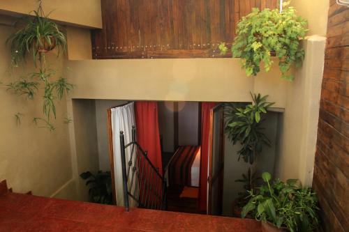 Hostal Finca La Octavia