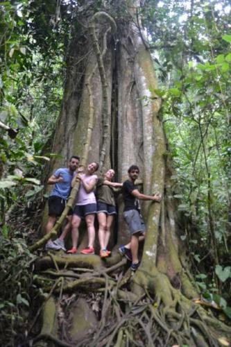 Hostal Coffee Town Hostel