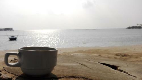 Hostal Rip Tide Vacation Inn, K.guraidhoo