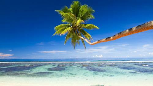 Hostal Equa Reef Maldives