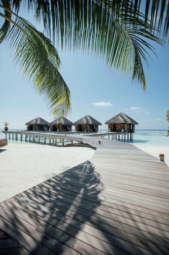 Hotel Lux* South Ari Atoll