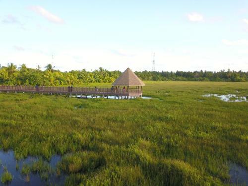 Hostal Calyx Grand Fuvahmulah