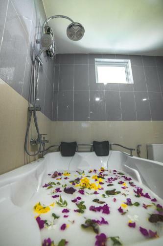 Hostal Green Wing