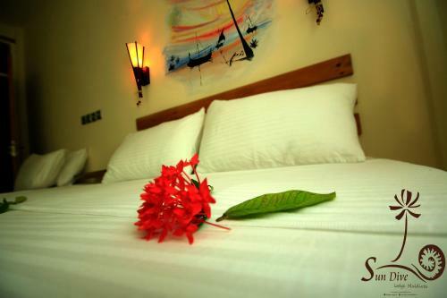 Hostal Sundive Lodge Maldives