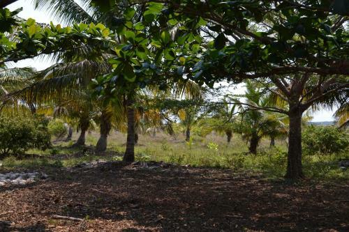 Austral Hotel Farafangana