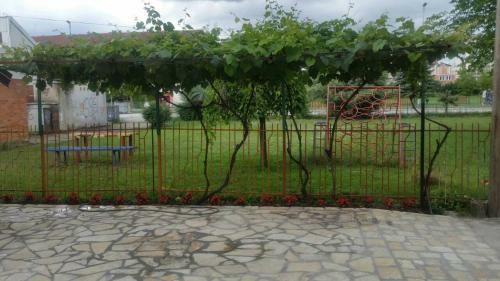 Apartments Struga