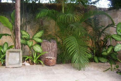 Hostal Posada El Jardin