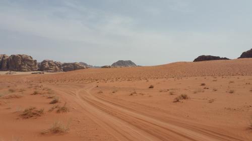 Mahmoud Camp With Jeep Tour