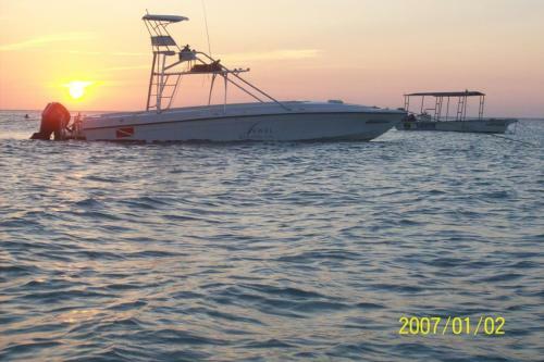 Bed & Breakfast Wataview