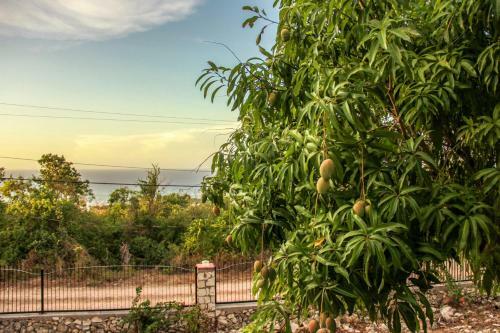 Sunshine Lodge: Your Home Away From Home