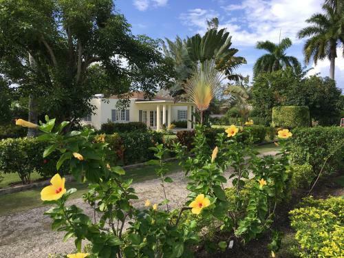 Agroturismo Morning Glory Villas