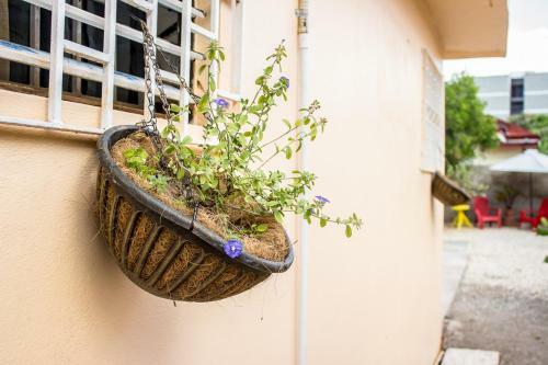 Eventuality B&B New Kingston